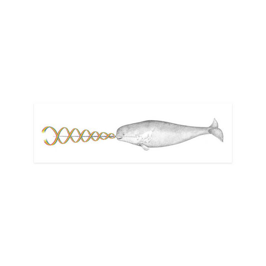 Rainbow Narwhal Spirit Animal - unframed