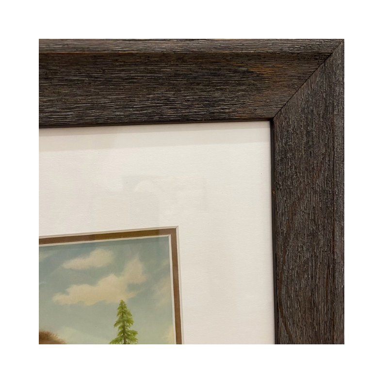 California Bear framed print