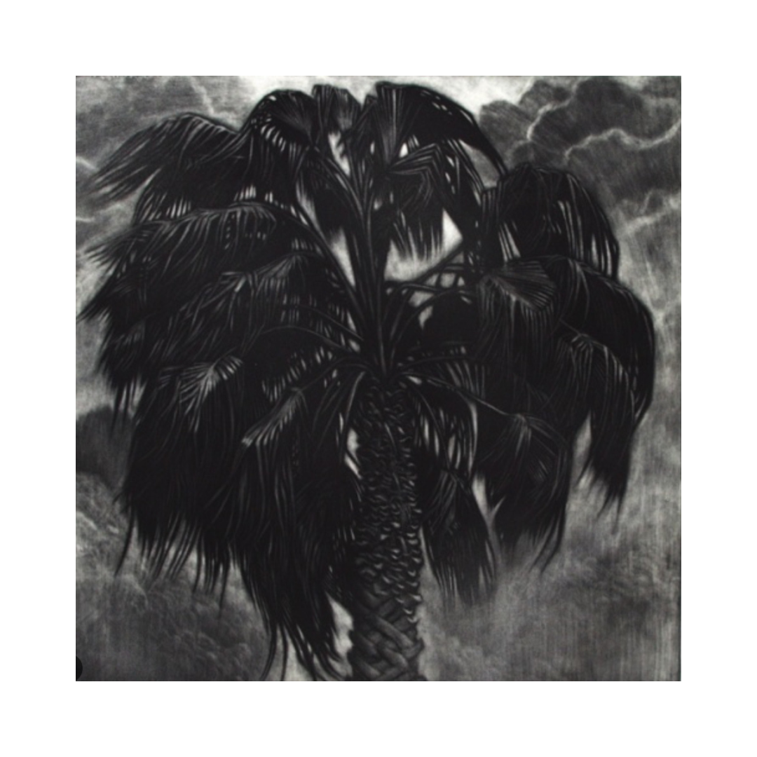Williamstown Palm - Limited Edition