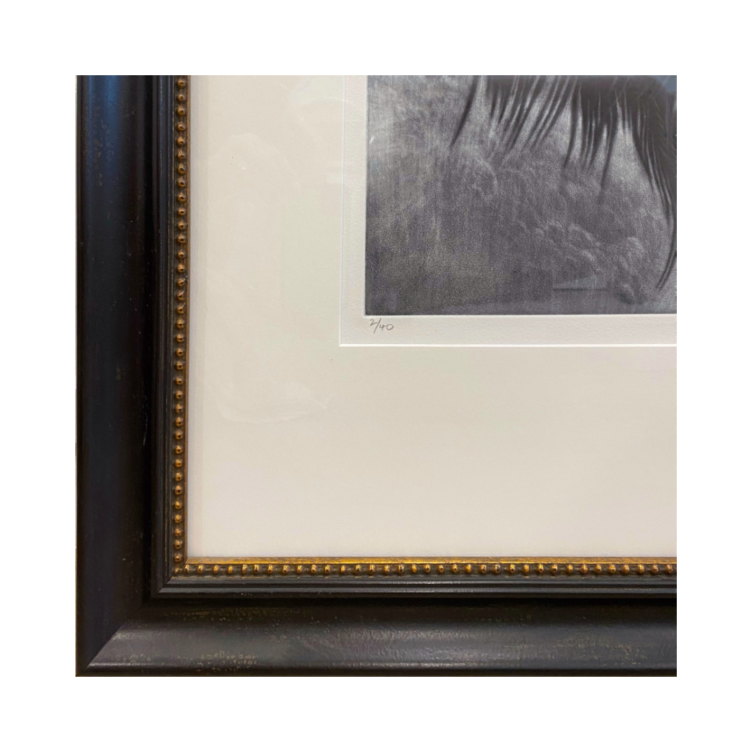 Williamstown Palm - Limited Edition