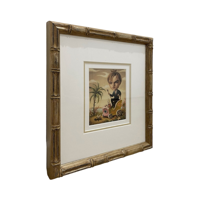 Leonardo - Framed print