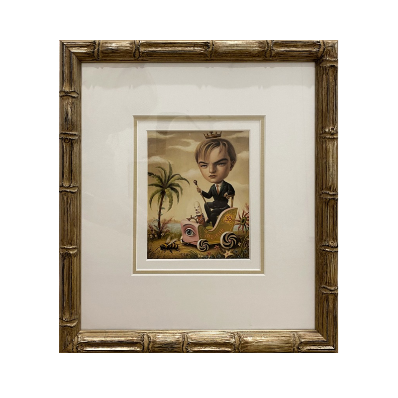 Leonardo - Framed print