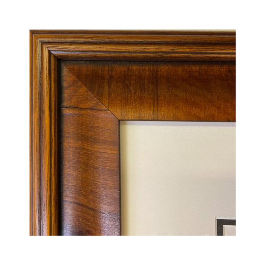 The Debuntant framed print